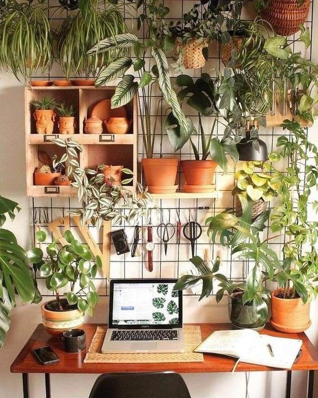 Terracotta Walls Green Living Workspace