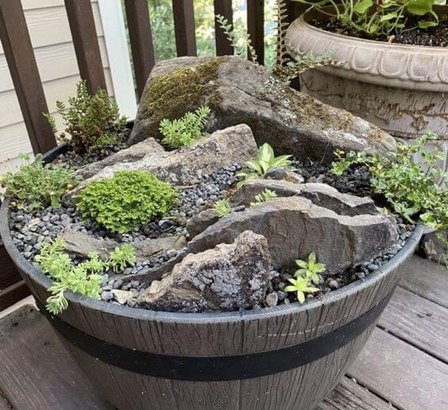 Stacked Stones With Glowing Succulents