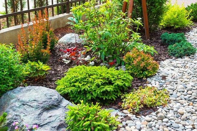 Vertical Green Solutions For Small Spaces