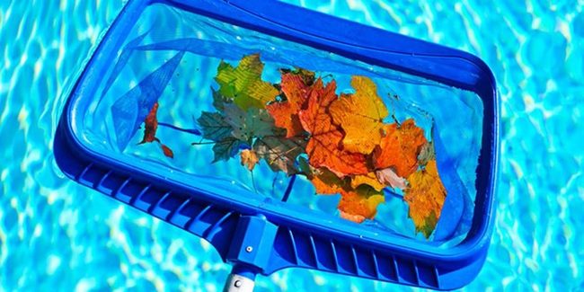 Crystal Clear Pool Waters