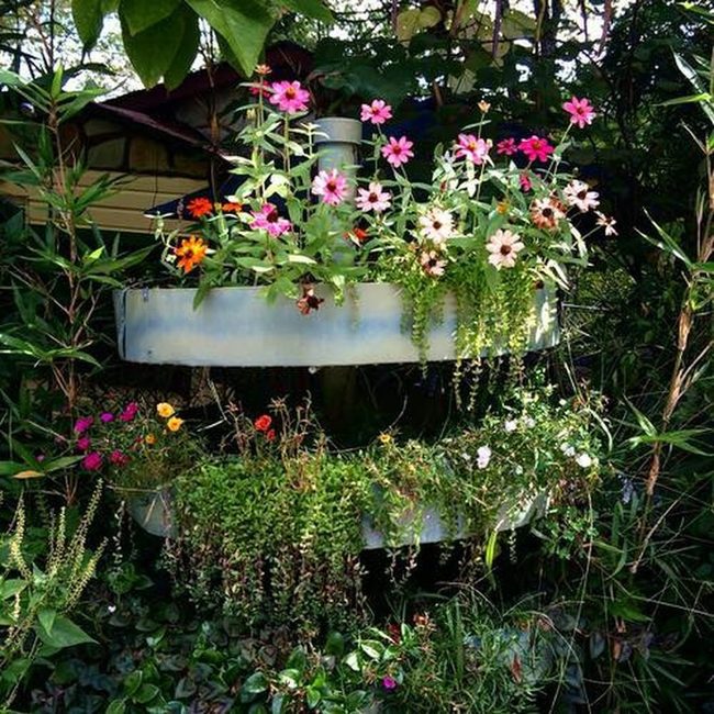 Vines And Blooms Hide Fencing