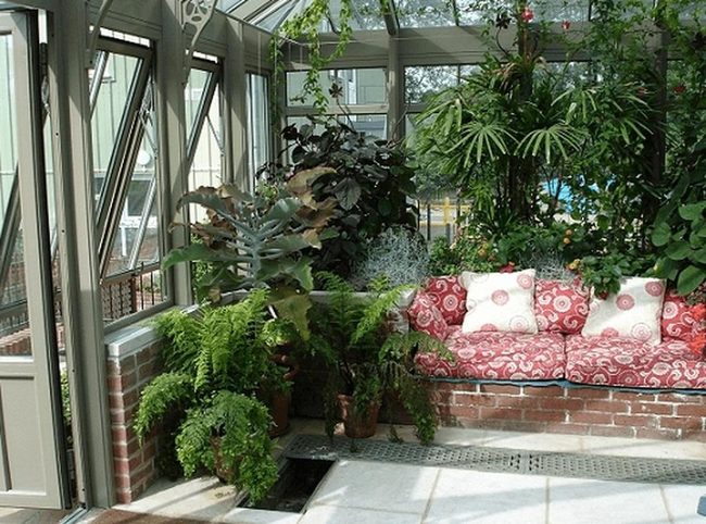 Red Cushions In Green Sanctuary