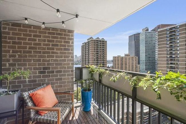 Green Vines Soften Urban Balconies