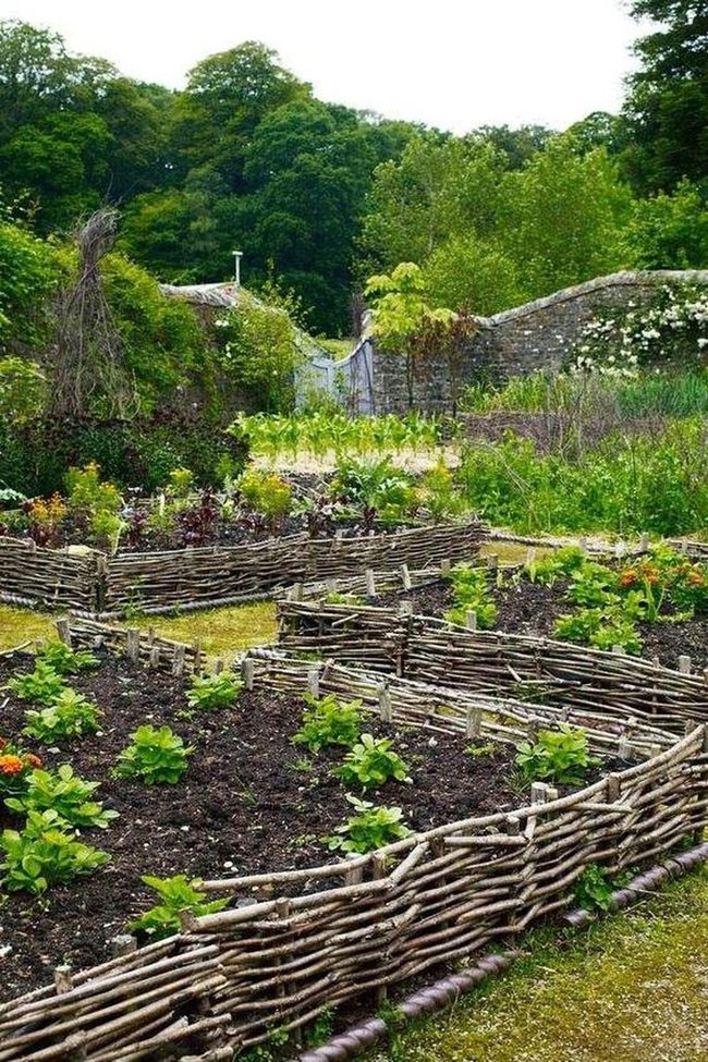 Natural Wood Branch Fence Garden