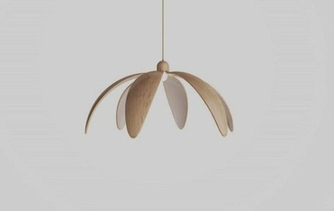 Floating Wood Petals Cast Shadows