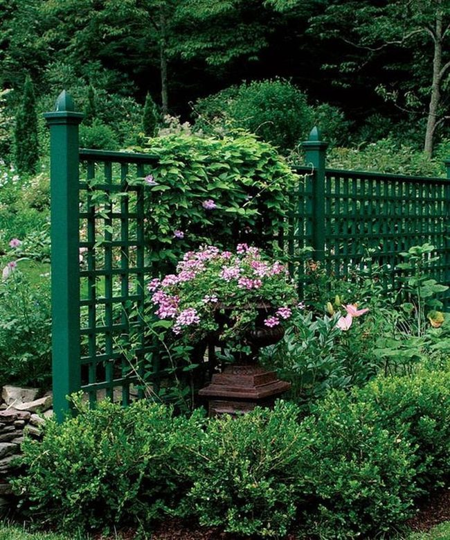 Dark Green Trellis Pink Flower Garden
