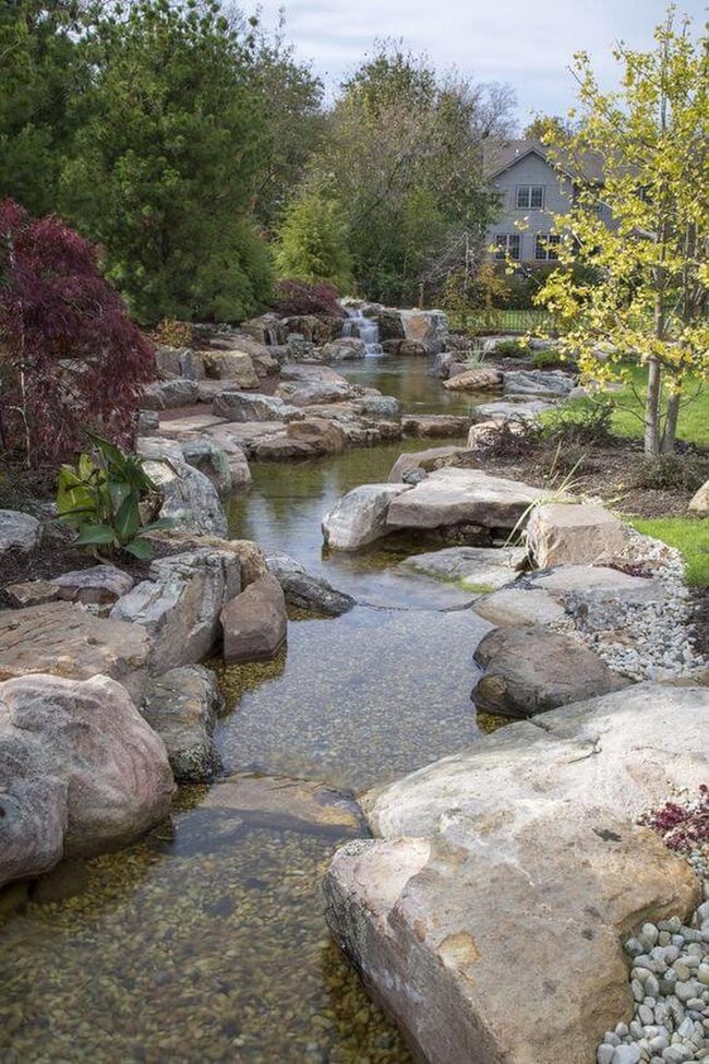 Flowing Stream Among Lush Garden Plants