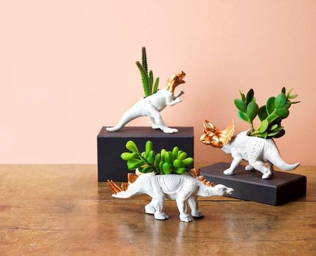 Dinosaur Succulents Awaken Childhood Memories