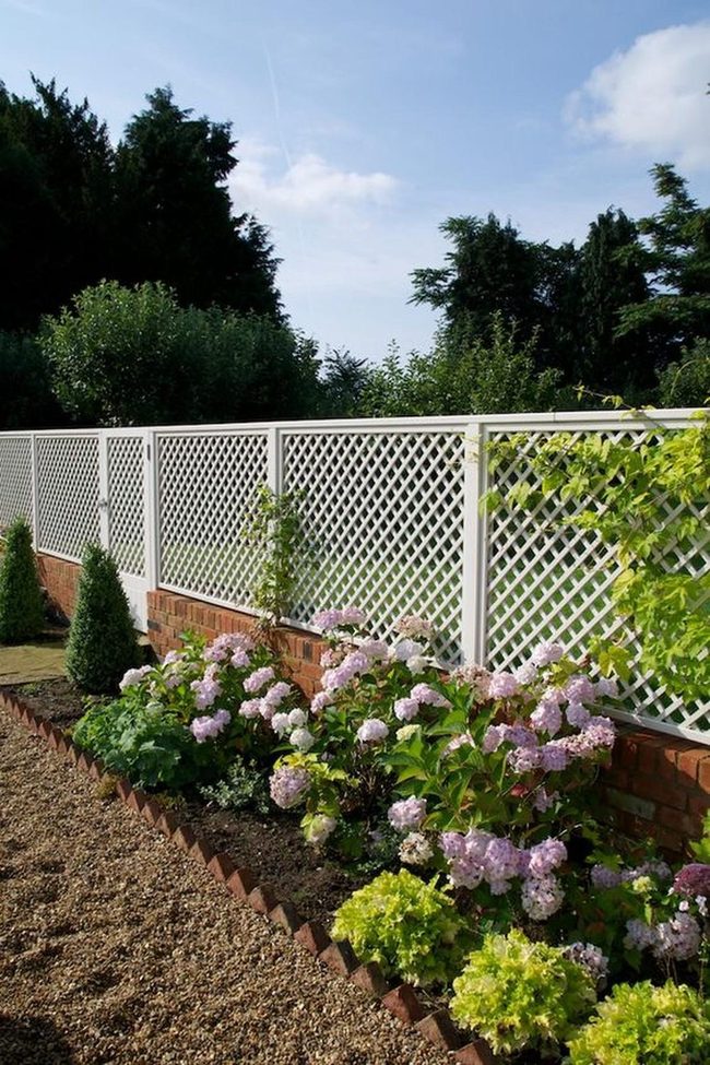 Pink And Purple Blooms On White Lattice