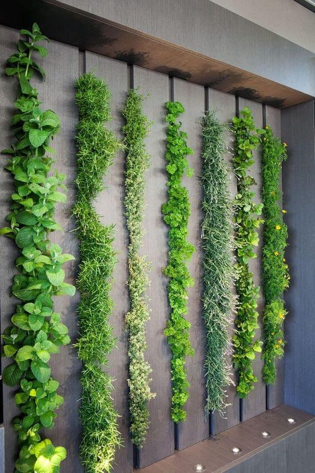 Green Wall Living Strips