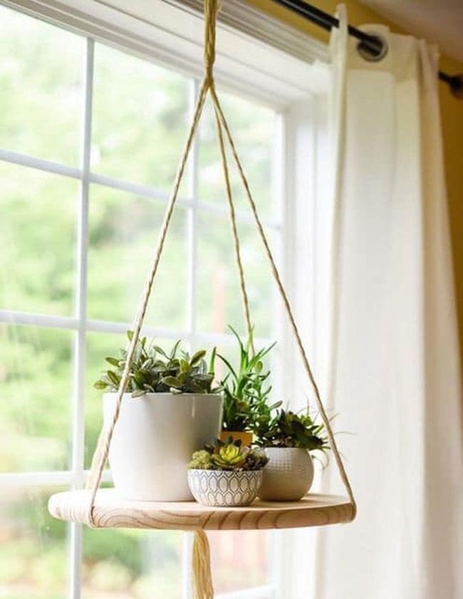 Wooden Board Succulent Wall Garden