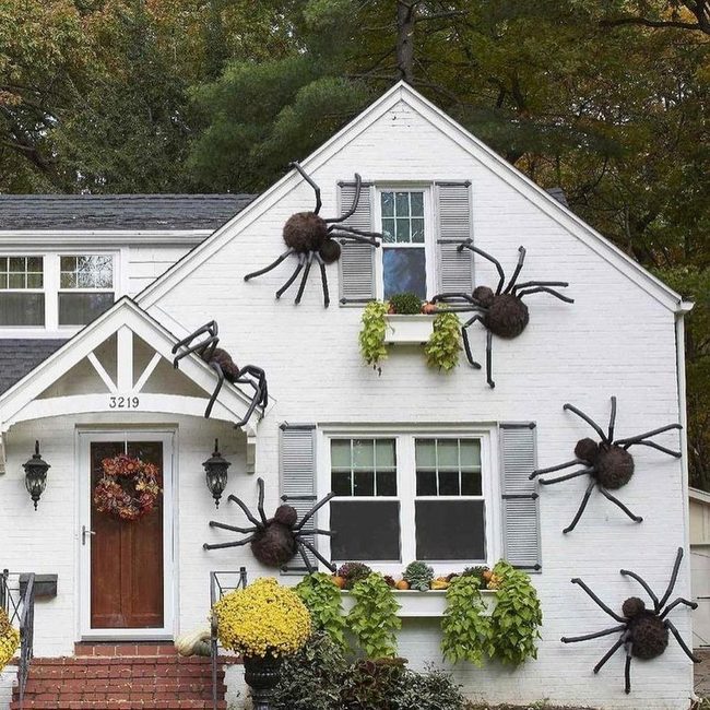 Giant Black Spider Web Yard