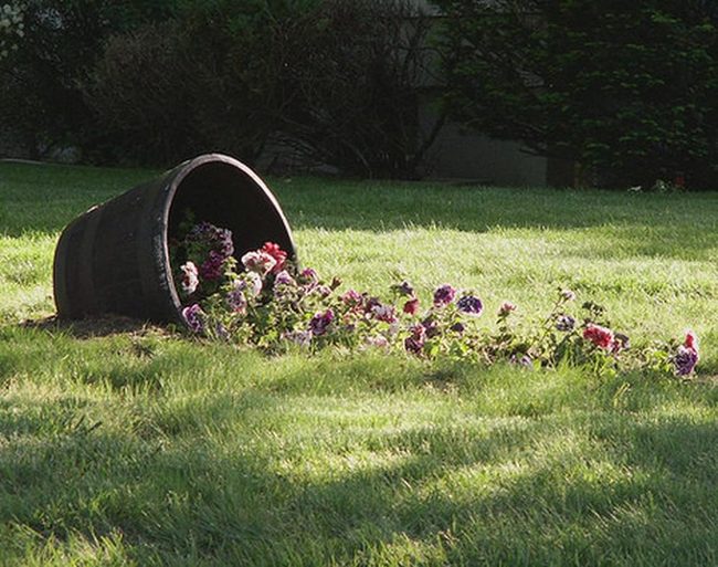 Colorful Flowers Spilling From Overturned Pot