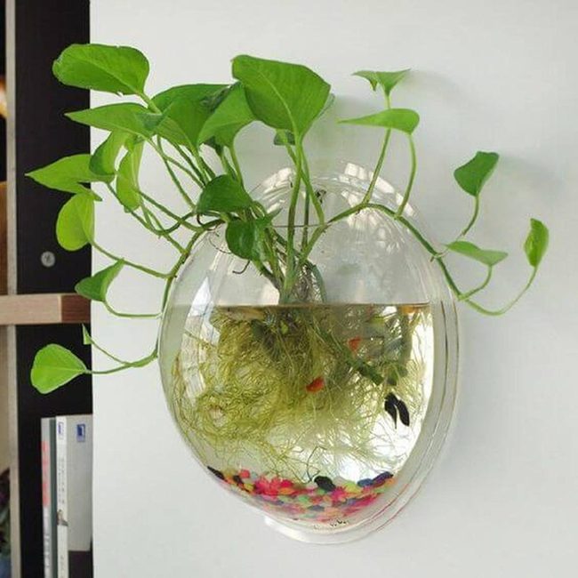 Transparent Living Walls With Fish