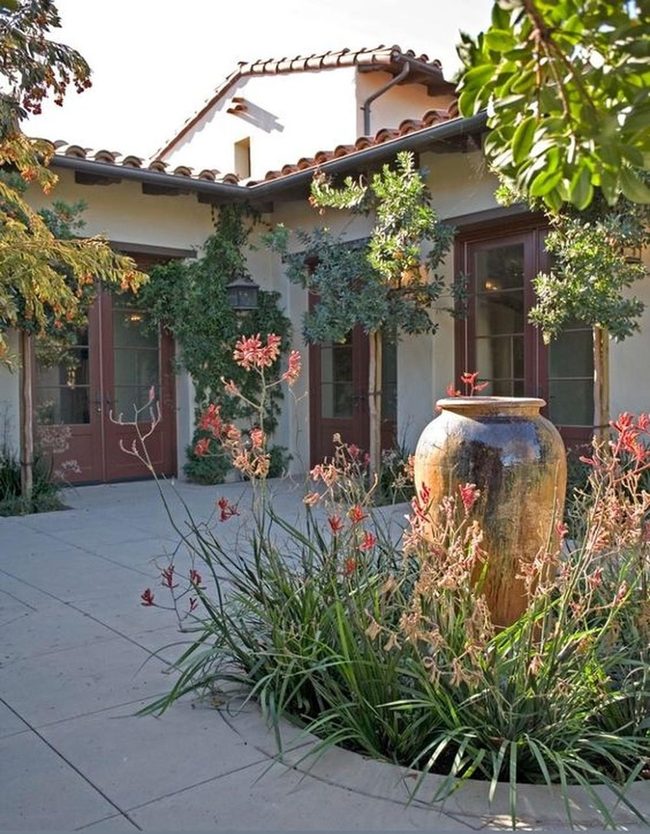 Ceramic Vase Among Green Ivy
