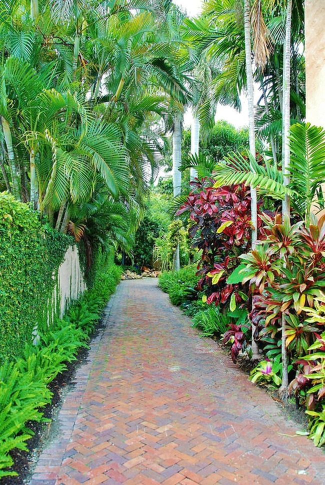 Emerald, Red, Gold Tropical Pair