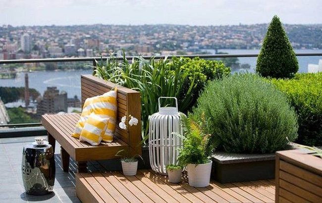 Glass Walls Expand Tiny Rooftops