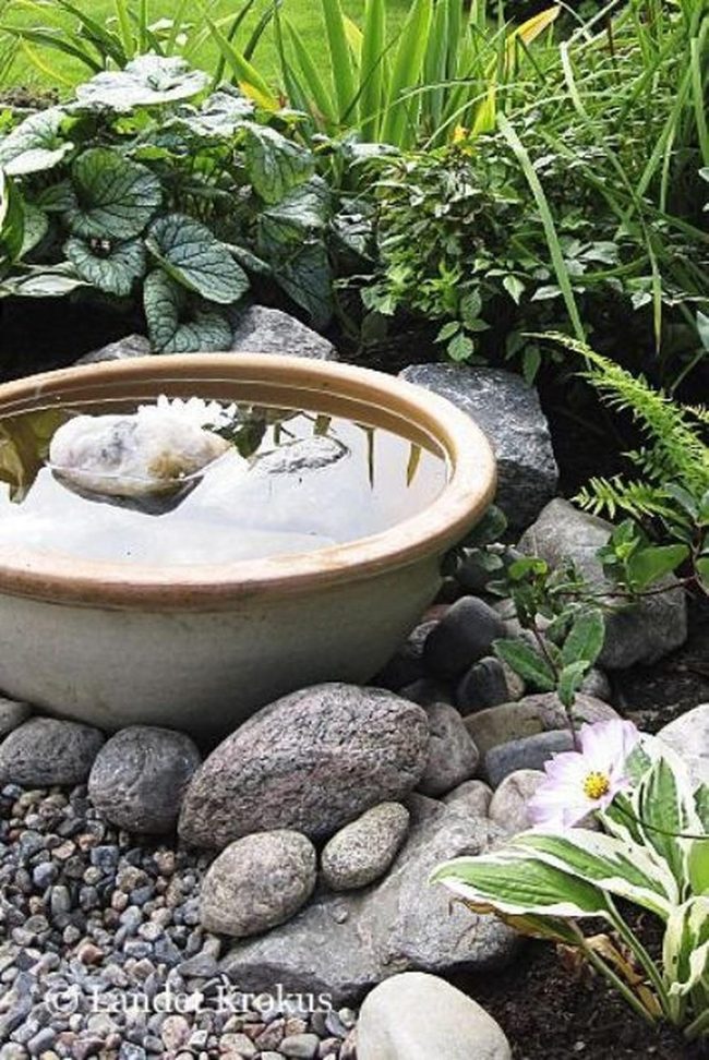 Pebbles And Purple Around Clear Water