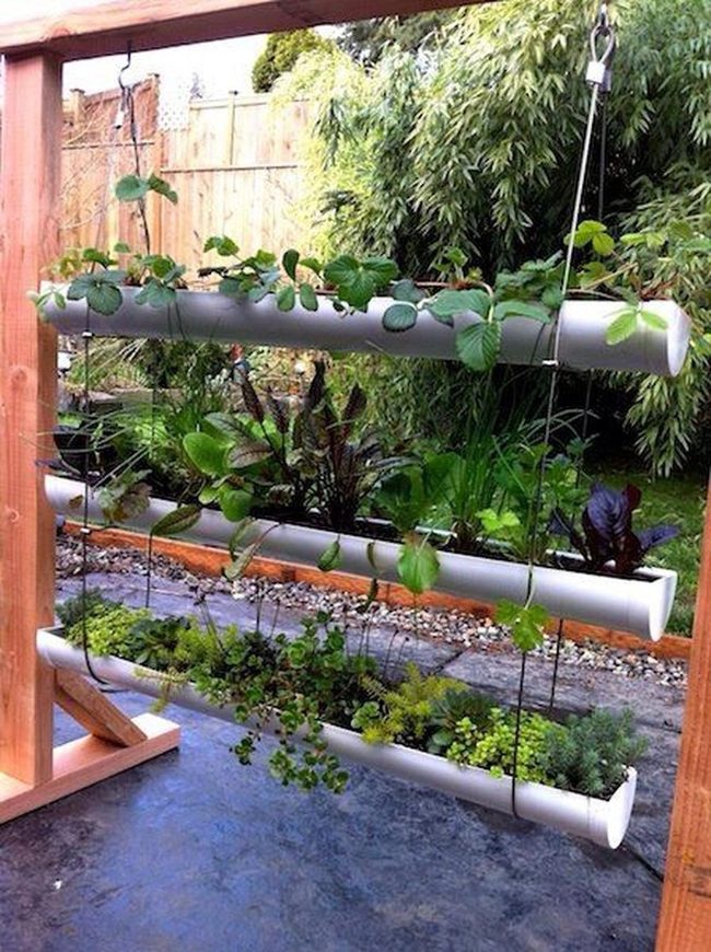 Green Leaves Cascade From White Pipes