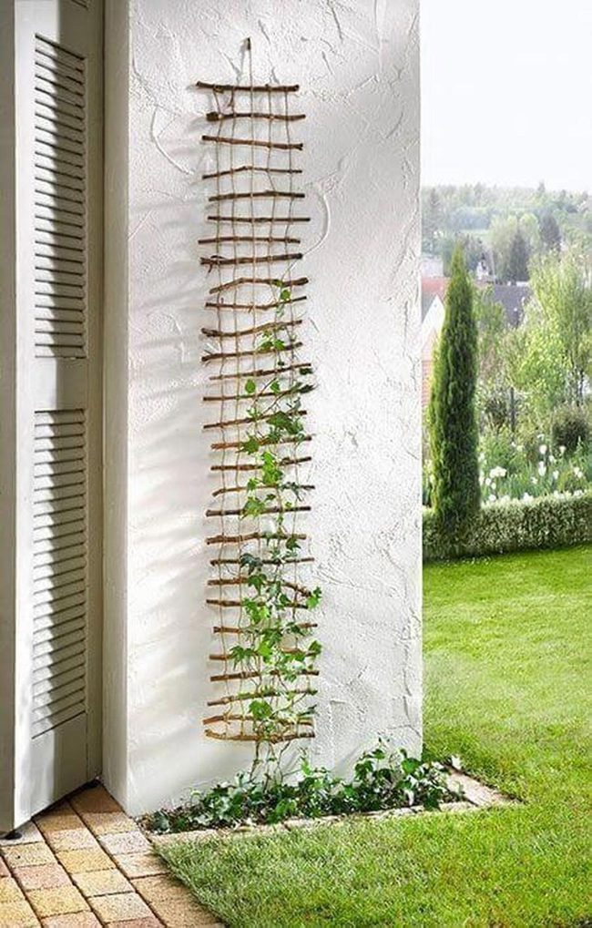 Natural Twig Climbing Wall