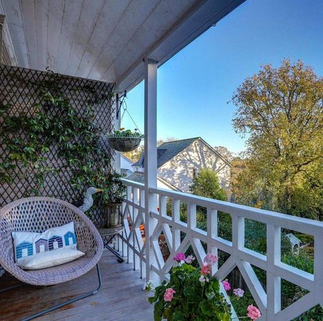 Climbing Vines On Wooden Frames