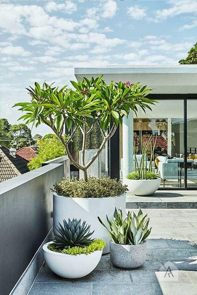 Glass, Green Plants, Gray Stone Rooftop