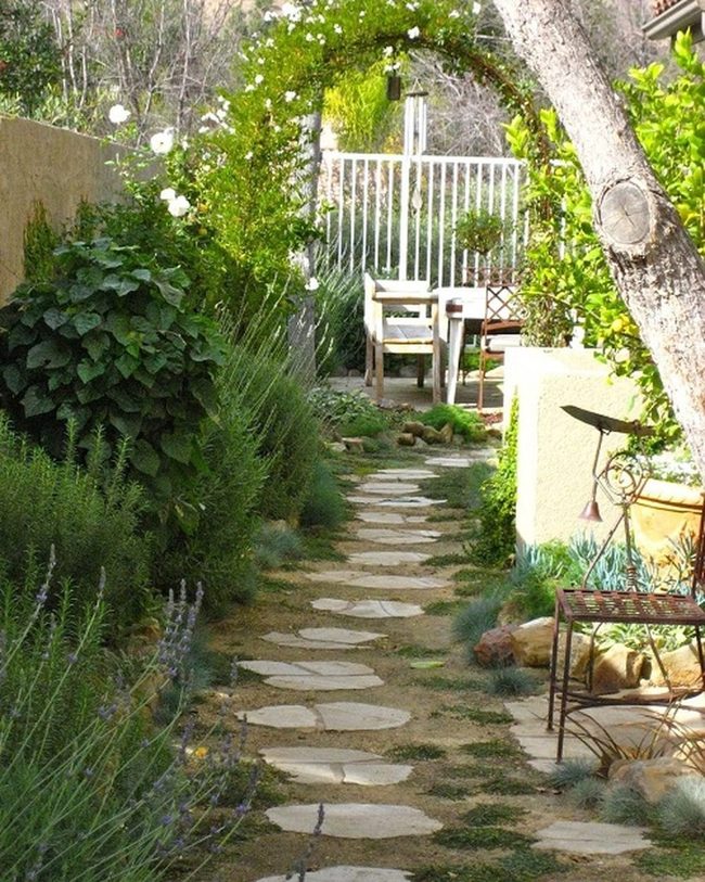 Shade Tree With Desert Layers