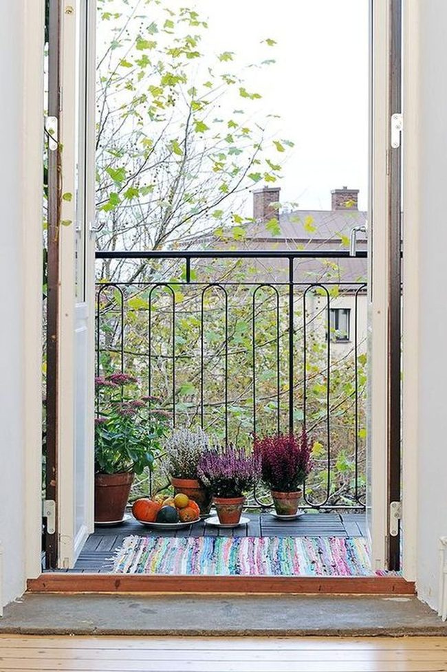 Glazed Pots Transform Narrow Balconies