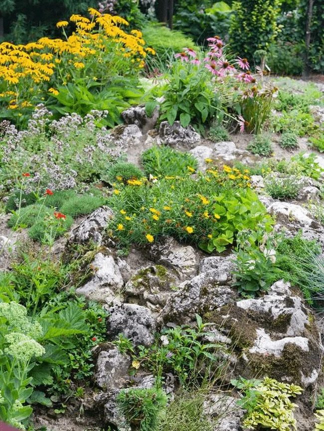 Yellow And Pink Flower Garden