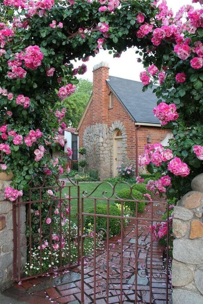 Pink Roses Frame Iron Gateway