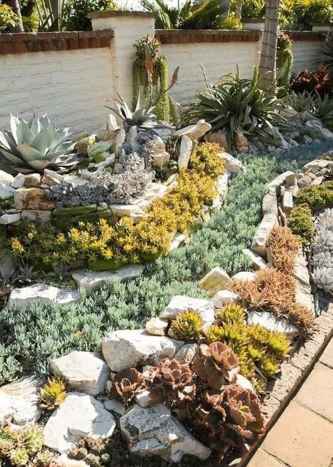 Succulent Garden Against White Brick