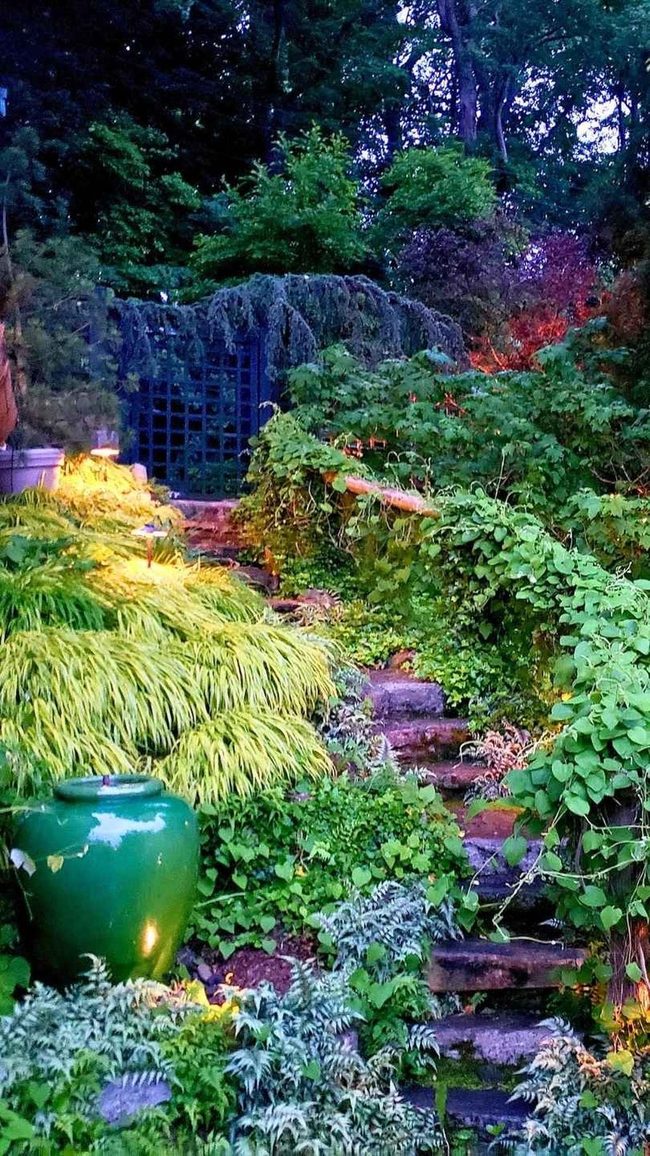 Green Steps Into Hidden Landscape