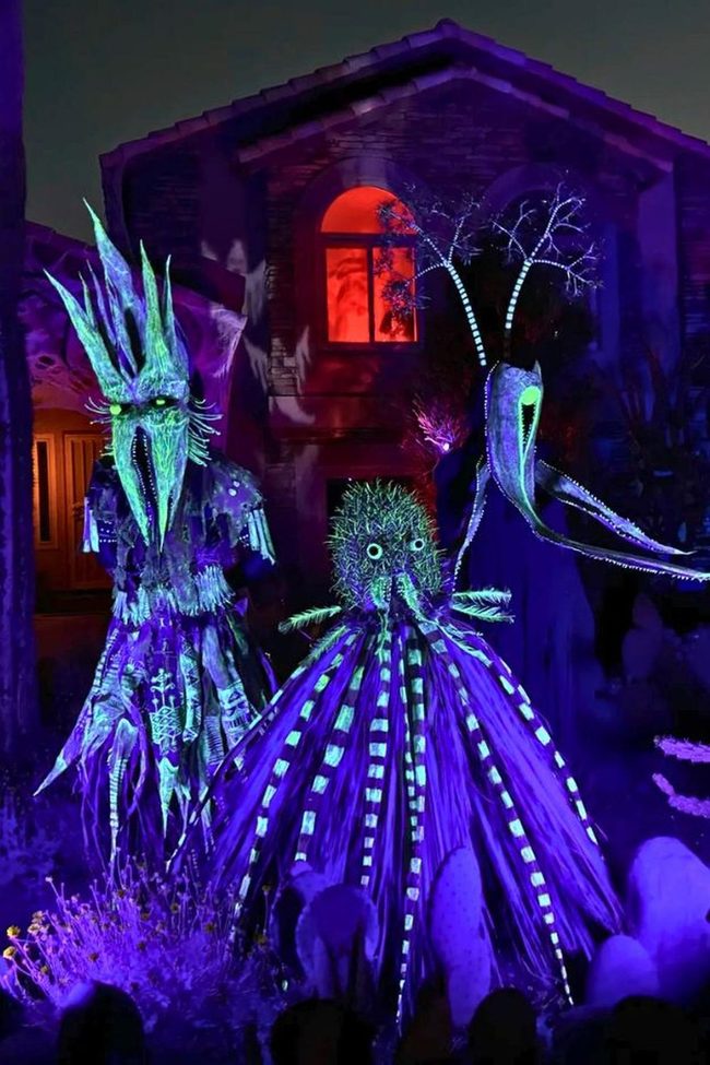 Desert Plant Skeleton Yard Display