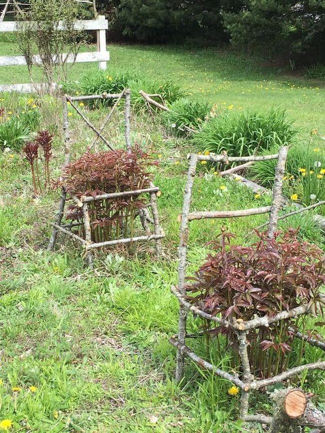 Garden Stakes Prevent Drooping Damage