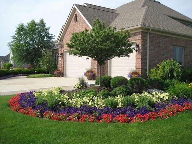Pink Petunias, Purple Depth, Curves