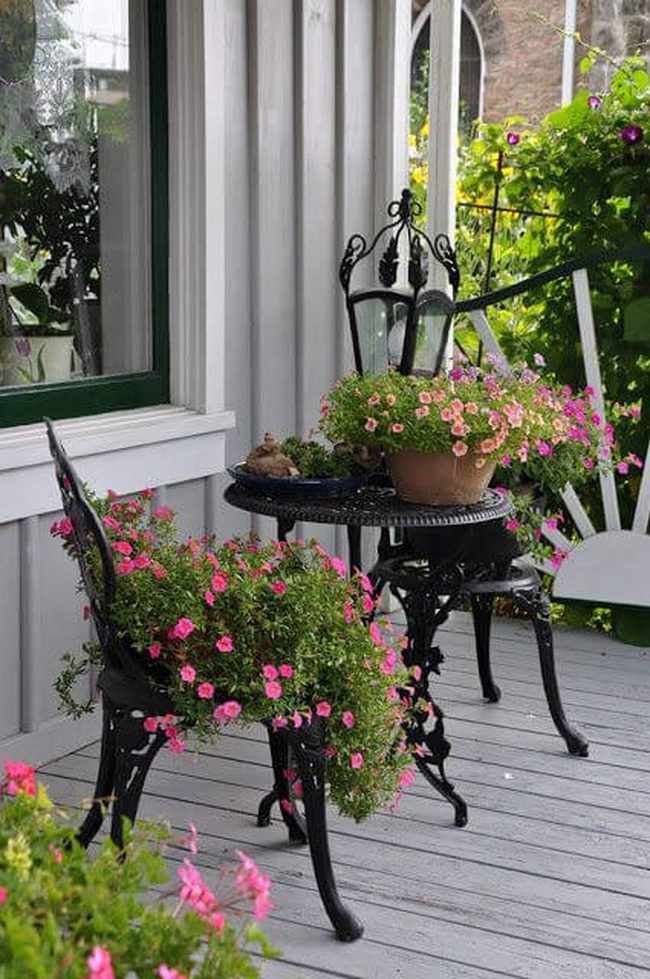 Perennials In Containers, Year-Round Color