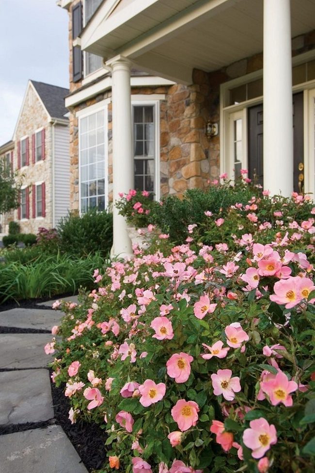Soft Pink Wildflower Borders