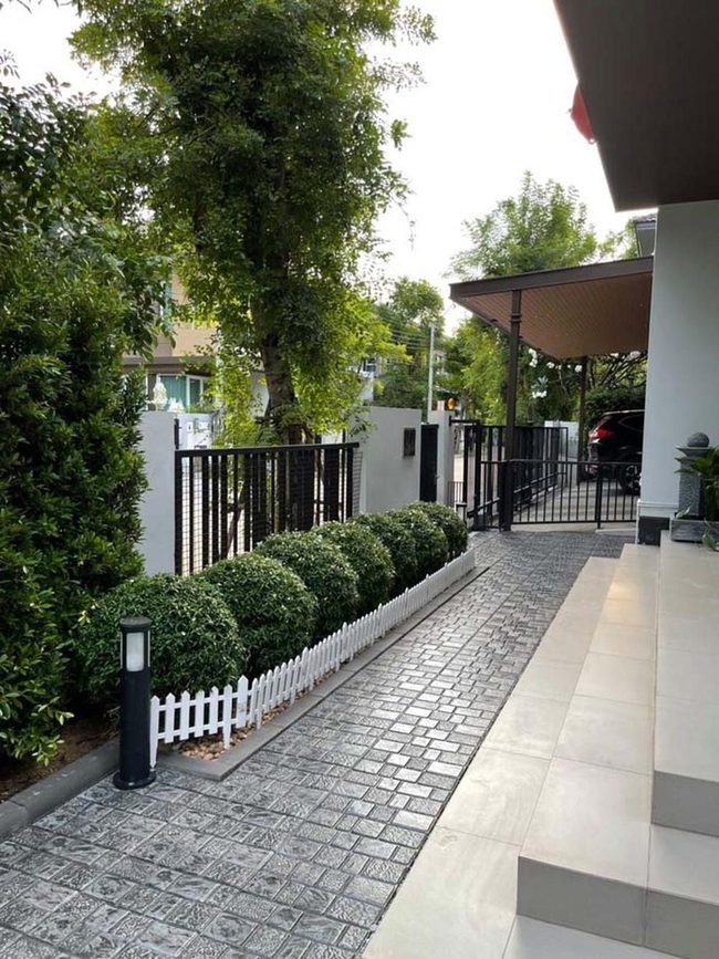 Clipped Boxwood Spheres Against Fence