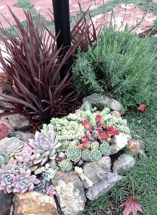 Emerald Succulents With Burgundy Accents