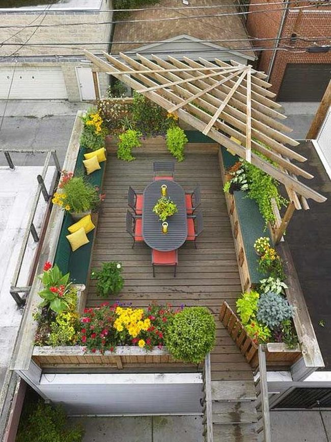 Rooftop Flowers Above The City