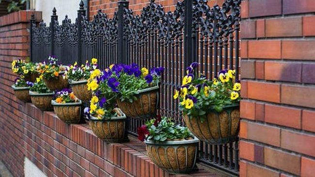Emerald Moss Bowls For Fences