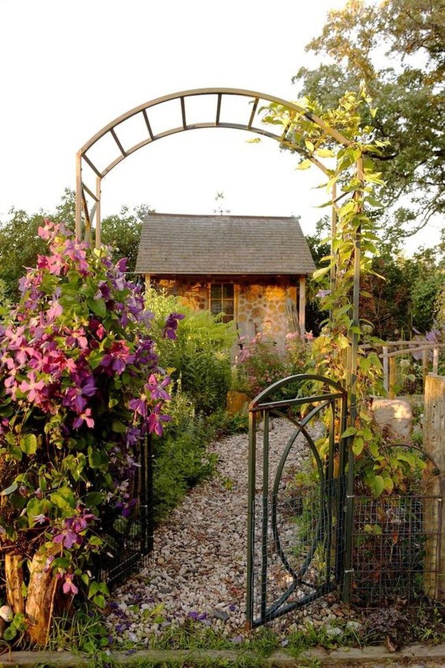 Purple Clematis Arch Gateway