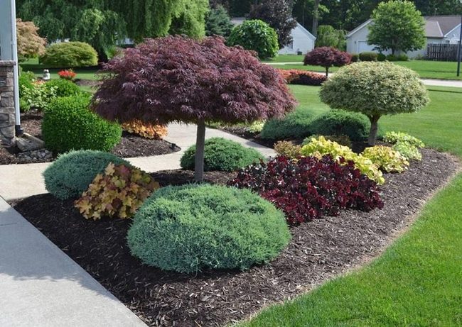 Year-Round Flowering Shrub Garden