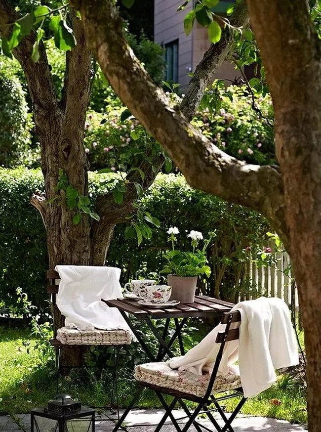 White Blossoms In Green Shade