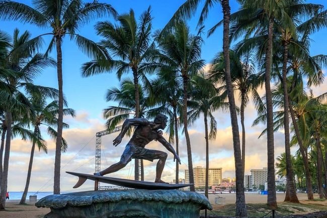 Towering Queen Palms Need Acidic Soil