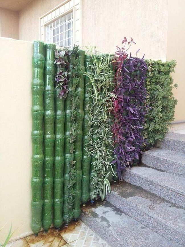 Living Wall Vertical Bottle Garden