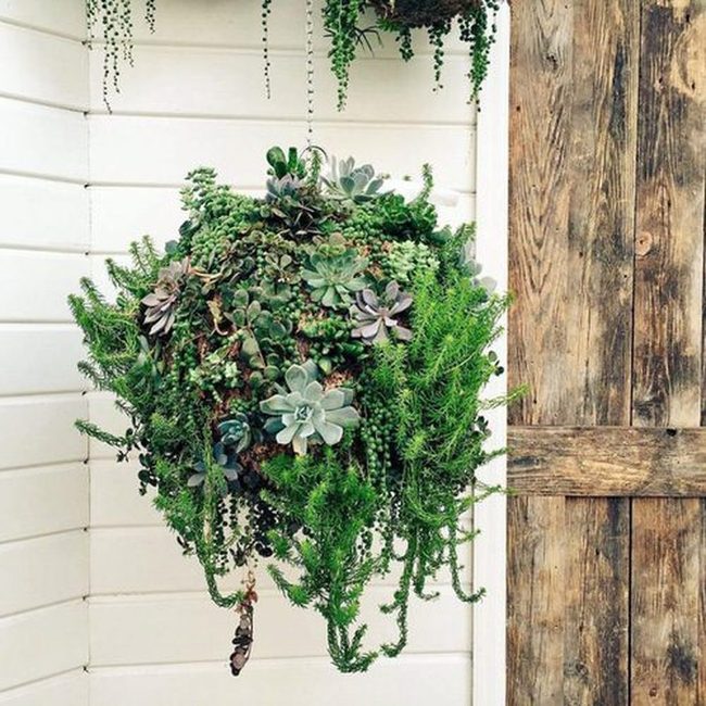 Compact Green Clusters For Busy Lives