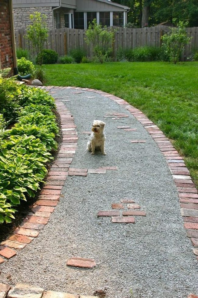 Small Dog'S Red Brick Garden