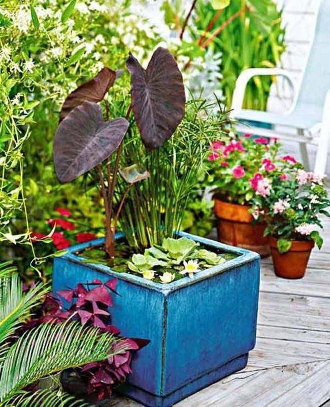 Blue Planter Green Statement