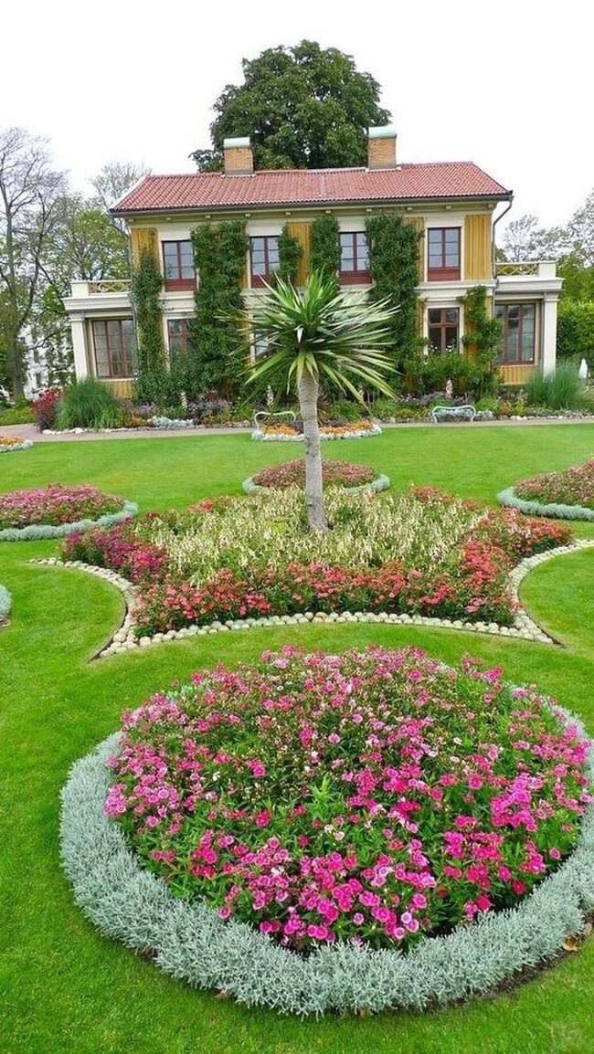 Circular Blooms And Stone Paths